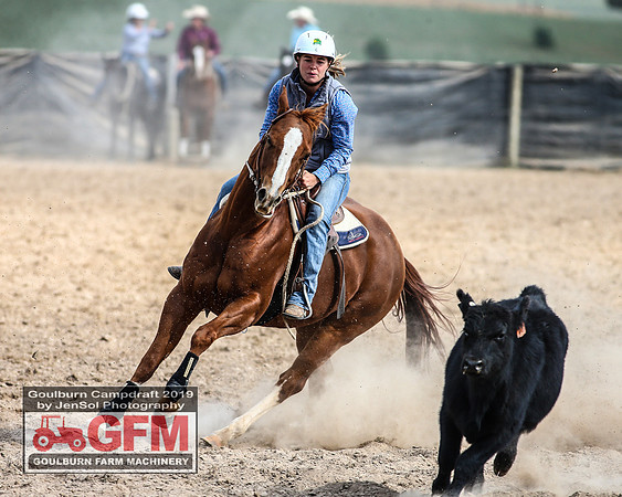GoulburnCampdraft2019_7236