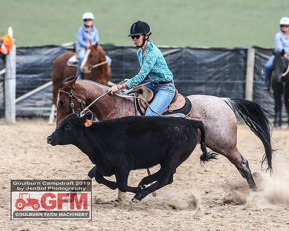GoulburnCampdraft2019_7143