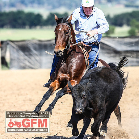 GoulburnCampdraft2019_6640