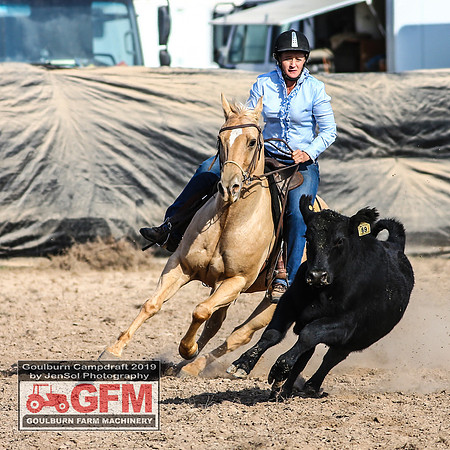 GoulburnCampdraft2019_7541