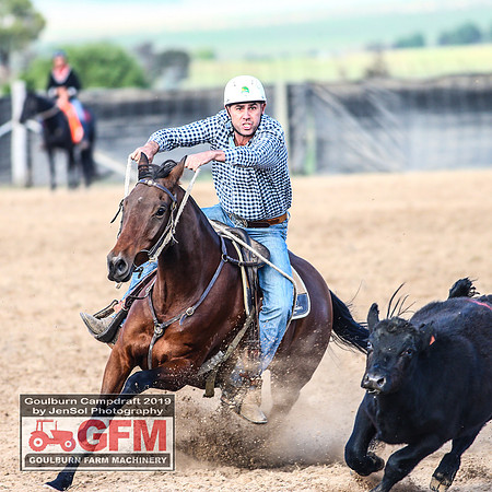 GoulburnCampdraft2019_6205
