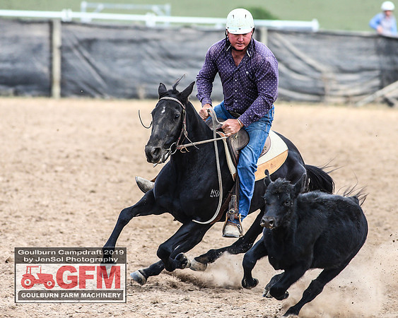 GoulburnCampdraft2019_7093