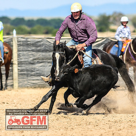 GoulburnCampdraft2019_6707