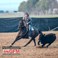 GoulburnCampdraft2019_6043