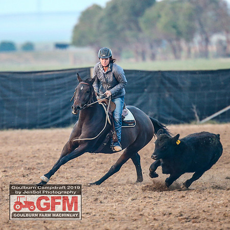 GoulburnCampdraft2019_6043