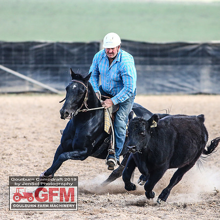 GoulburnCampdraft2019_8185