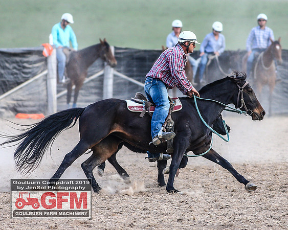 GoulburnCampdraft2019_7660