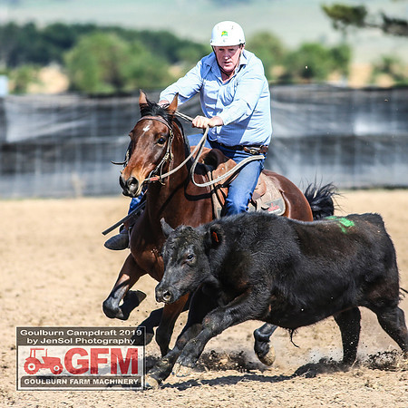 GoulburnCampdraft2019_6622