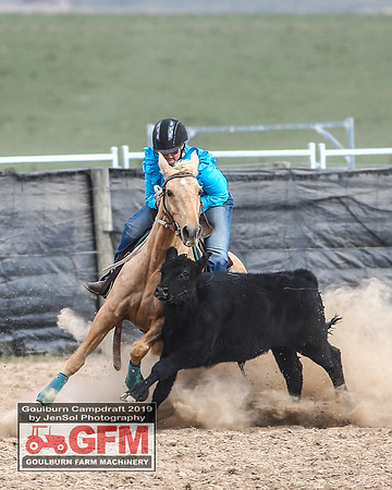 GoulburnCampdraft2019_7435