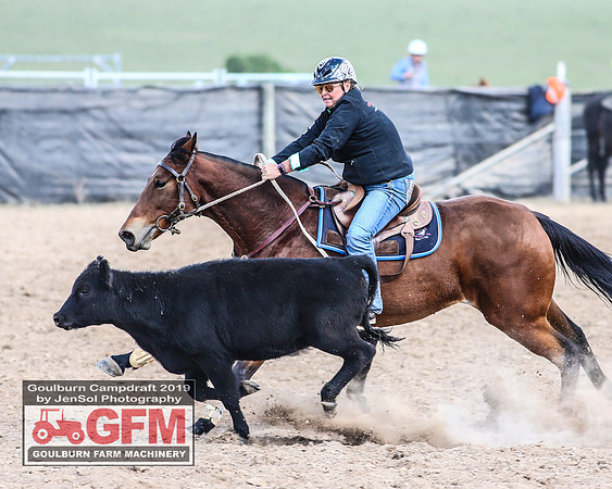 GoulburnCampdraft2019_6961