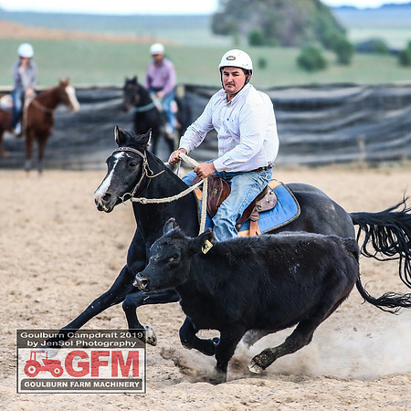 GoulburnCampdraft2019_8135