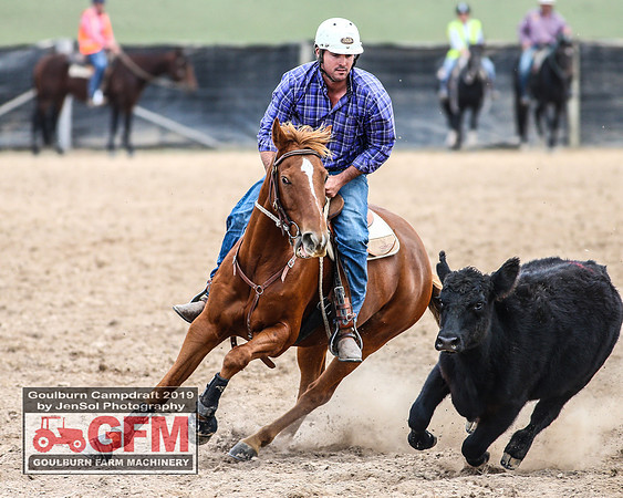 GoulburnCampdraft2019_7068
