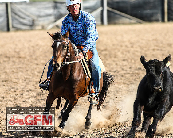 GoulburnCampdraft2019_7932