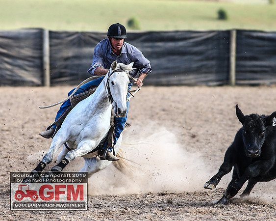 GoulburnCampdraft2019_8240