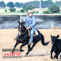 GoulburnCampdraft2019_6186
