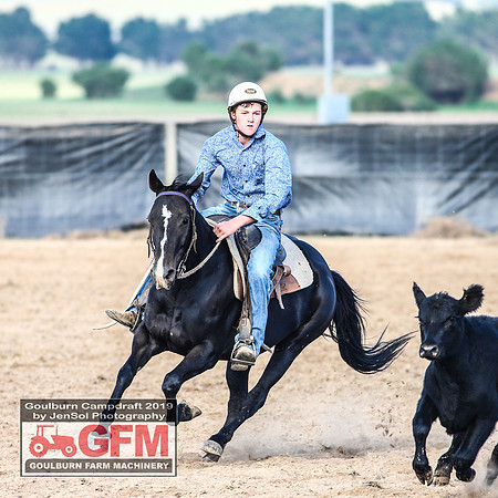 GoulburnCampdraft2019_6186