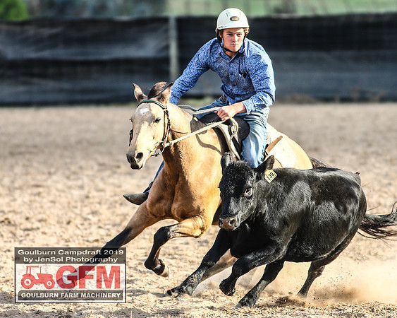 GoulburnCampdraft2019_7993