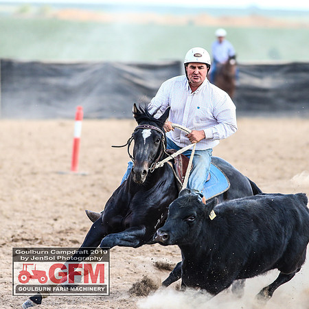 GoulburnCampdraft2019_7742