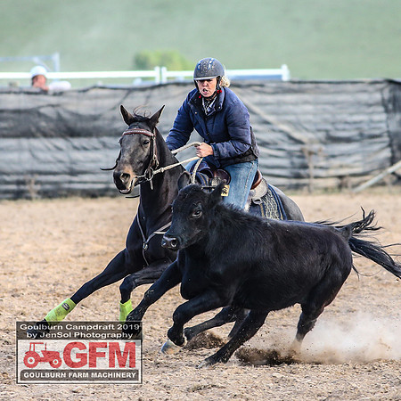 GoulburnCampdraft2019_8171