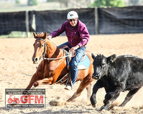 GoulburnCampdraft2019_7835