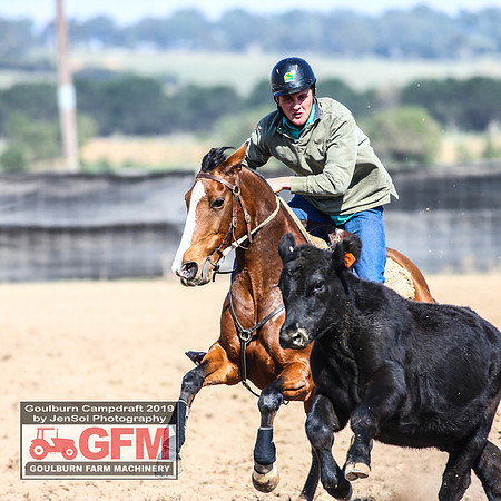 GoulburnCampdraft2019_6576
