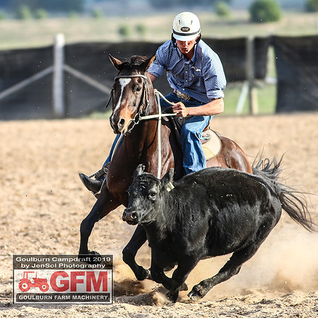 GoulburnCampdraft2019_7955