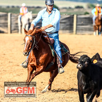 GoulburnCampdraft2019_6241