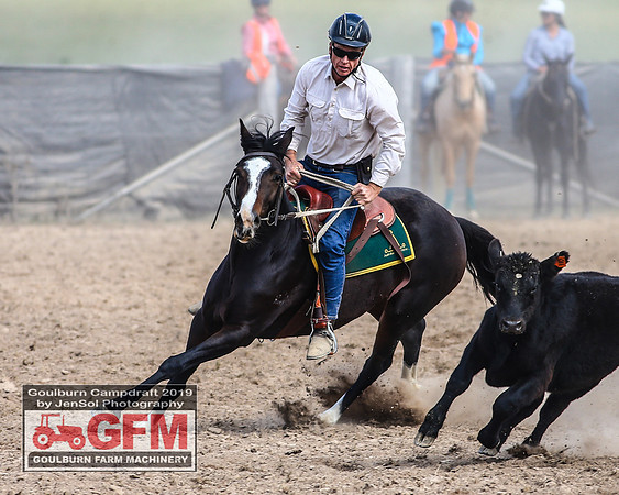 GoulburnCampdraft2019_7003