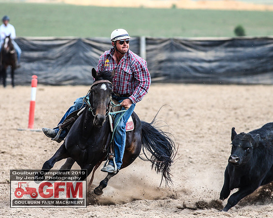 GoulburnCampdraft2019_7271