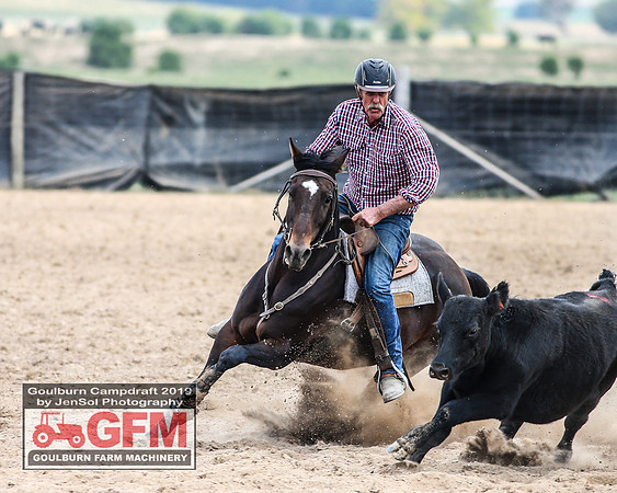 GoulburnCampdraft2019_7076