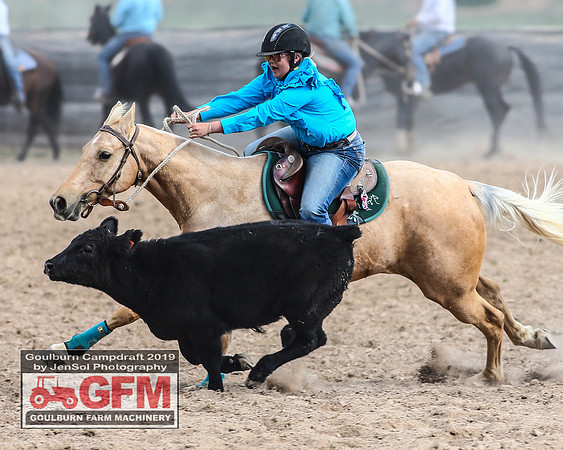 GoulburnCampdraft2019_7412