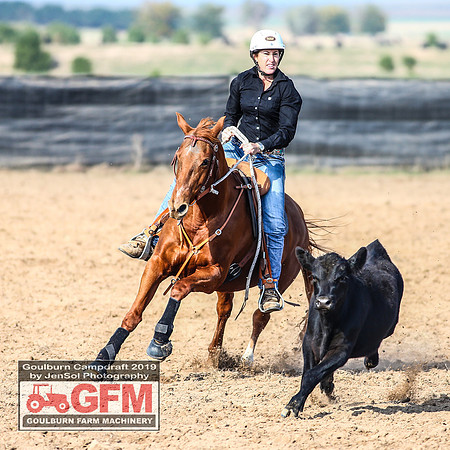 GoulburnCampdraft2019_6432