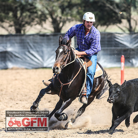 GoulburnCampdraft2019_6737