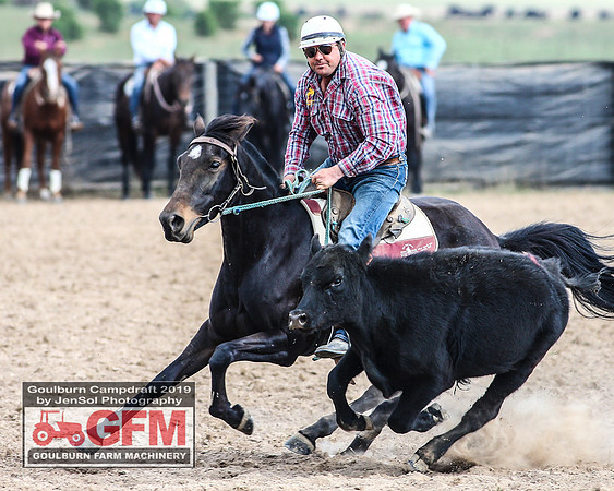 GoulburnCampdraft2019_7257