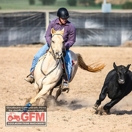 GoulburnCampdraft2019_6465