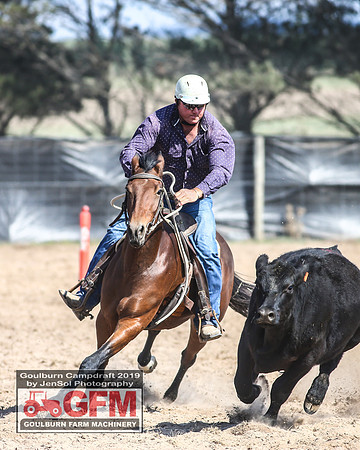 GoulburnCampdraft2019_6674
