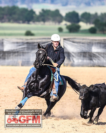 GoulburnCampdraft2019_6314