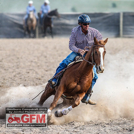 GoulburnCampdraft2019_7585
