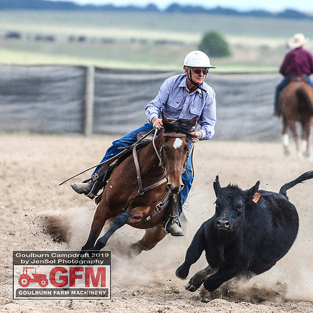 GoulburnCampdraft2019_7335