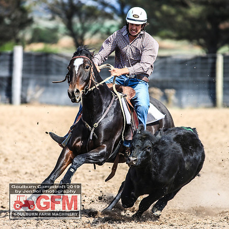 GoulburnCampdraft2019_6882