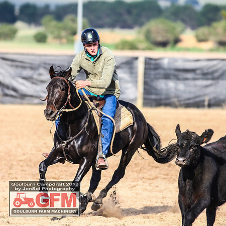 GoulburnCampdraft2019_6275