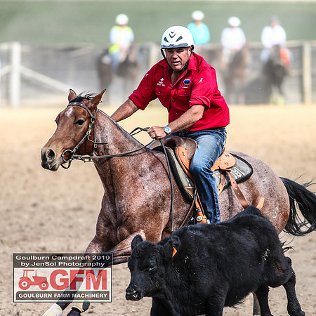 GoulburnCampdraft2019_6923