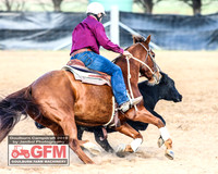 GoulburnCampdraft2019_6163