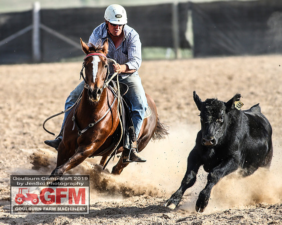 GoulburnCampdraft2019_7873