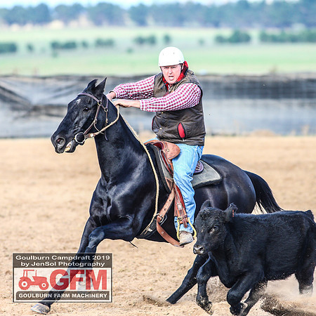 GoulburnCampdraft2019_6222