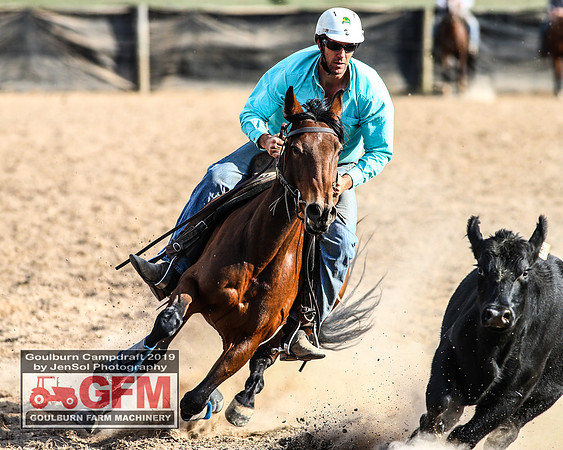 GoulburnCampdraft2019_7911