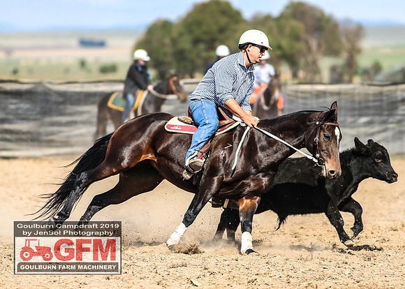 GoulburnCampdraft2019_6790