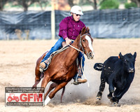 GoulburnCampdraft2019_6150