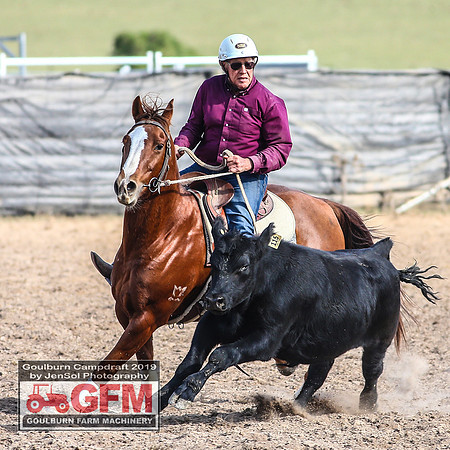 GoulburnCampdraft2019_7525