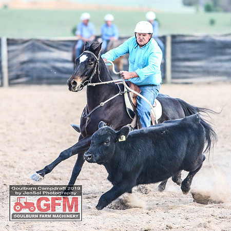 GoulburnCampdraft2019_7667